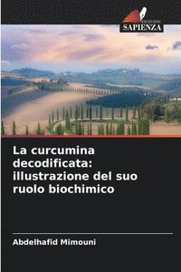 bokomslag La curcumina decodificata