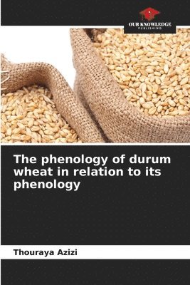 The phenology of durum wheat in relation to its phenology 1