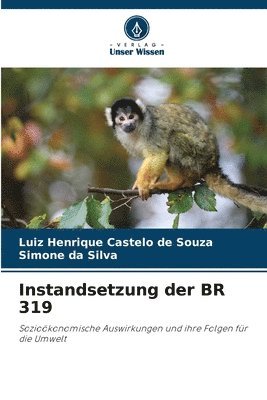 bokomslag Instandsetzung der BR 319