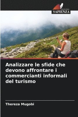 bokomslag Analizzare le sfide che devono affrontare i commercianti informali del turismo