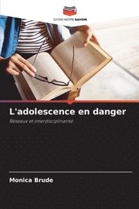 bokomslag L'adolescence en danger