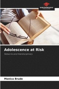bokomslag Adolescence at Risk