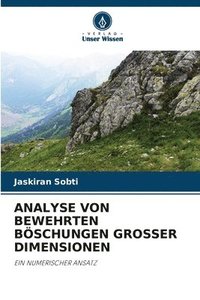 bokomslag Analyse Von Bewehrten Bschungen Grosser Dimensionen