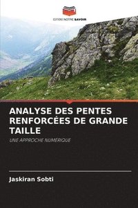 bokomslag Analyse Des Pentes Renforces de Grande Taille