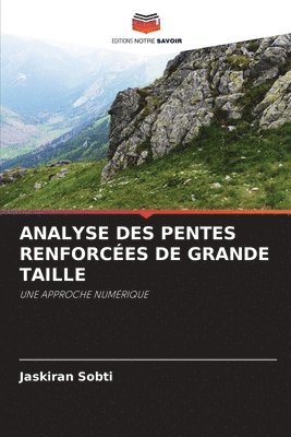 bokomslag Analyse Des Pentes Renforces de Grande Taille