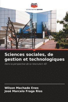 bokomslag Sciences sociales, de gestion et technologiques