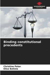 bokomslag Binding constitutional precedents