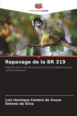 Repavage de la BR 319 1