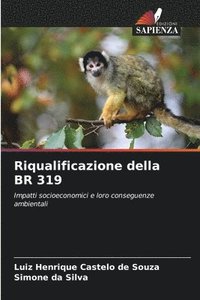 bokomslag Riqualificazione della BR 319