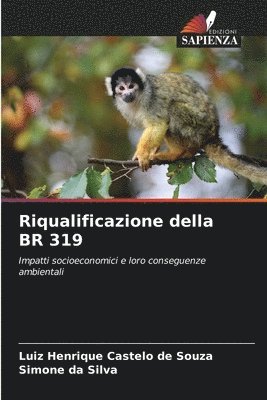 Riqualificazione della BR 319 1