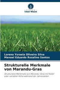 bokomslag Strukturelle Merkmale von Marandu-Gras
