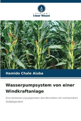 bokomslag Wasserpumpsystem von einer Windkraftanlage