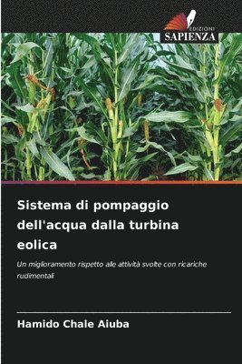 bokomslag Sistema di pompaggio dell'acqua dalla turbina eolica