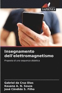 bokomslag Insegnamento dell'elettromagnetismo