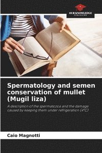 bokomslag Spermatology and semen conservation of mullet (Mugil liza)