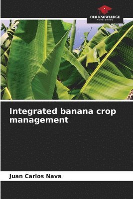 bokomslag Integrated banana crop management
