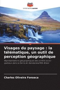 bokomslag Visages du paysage