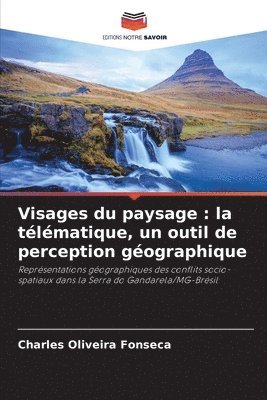 bokomslag Visages du paysage