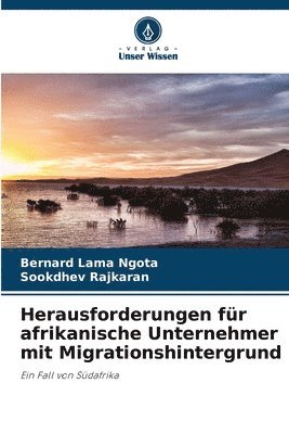 bokomslag Herausforderungen fr afrikanische Unternehmer mit Migrationshintergrund