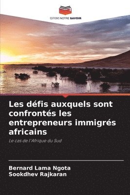 bokomslag Les dfis auxquels sont confronts les entrepreneurs immigrs africains