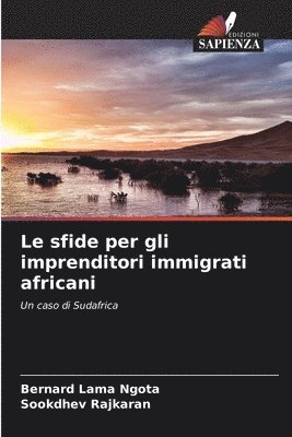 Le sfide per gli imprenditori immigrati africani 1
