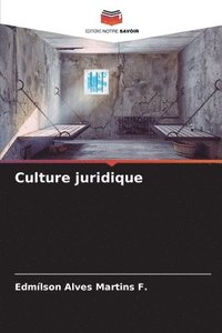 bokomslag Culture juridique