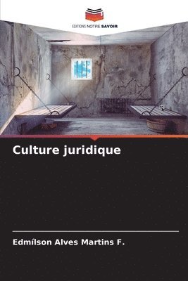 bokomslag Culture juridique