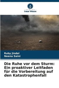 bokomslag Die Ruhe vor dem Sturm