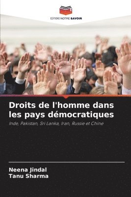 bokomslag Droits de l'homme dans les pays dmocratiques