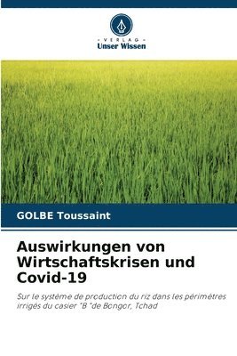 bokomslag Auswirkungen von Wirtschaftskrisen und Covid-19