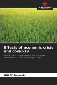 bokomslag Effects of economic crisis and covid-19