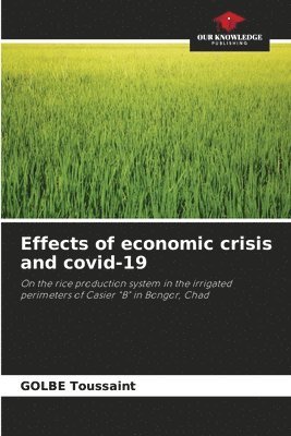 bokomslag Effects of economic crisis and covid-19