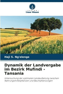 Dynamik der Landvergabe im Bezirk Mufindi - Tansania 1