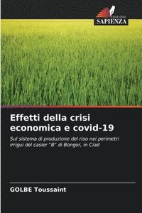 bokomslag Effetti della crisi economica e covid-19