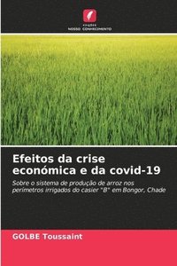 bokomslag Efeitos da crise econmica e da covid-19
