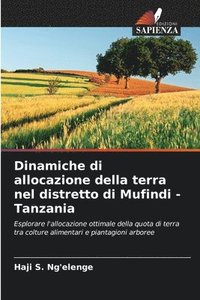 bokomslag Dinamiche di allocazione della terra nel distretto di Mufindi - Tanzania