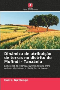 bokomslag Dinmica de atribuio de terras no distrito de Mufindi - Tanznia
