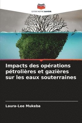 bokomslag Impacts des oprations ptrolires et gazires sur les eaux souterraines