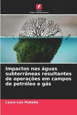 bokomslag Impactos nas guas subterrneas resultantes de operaes em campos de petrleo e gs