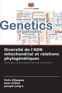 bokomslag Diversit de l'ADN mitochondrial et relations phylogntiques