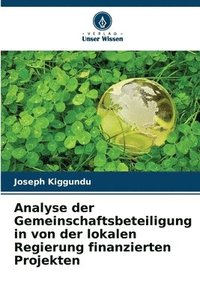 bokomslag Analyse der Gemeinschaftsbeteiligung in von der lokalen Regierung finanzierten Projekten