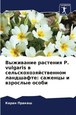 bokomslag &#1042;&#1099;&#1078;&#1080;&#1074;&#1072;&#1085;&#1080;&#1077; &#1088;&#1072;&#1089;&#1090;&#1077;&#1085;&#1080;&#1103; P. vulgaris &#1074;