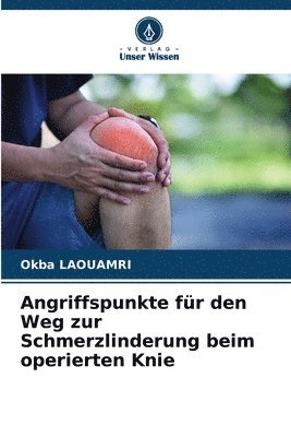 bokomslag Angriffspunkte fr den Weg zur Schmerzlinderung beim operierten Knie