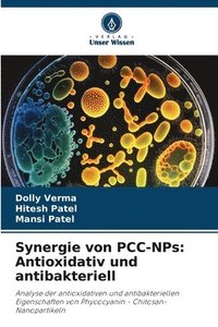 bokomslag Synergie von PCC-NPs
