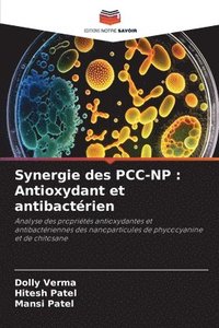 bokomslag Synergie des PCC-NP