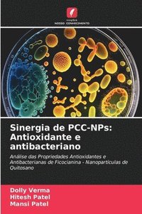 bokomslag Sinergia de PCC-NPs