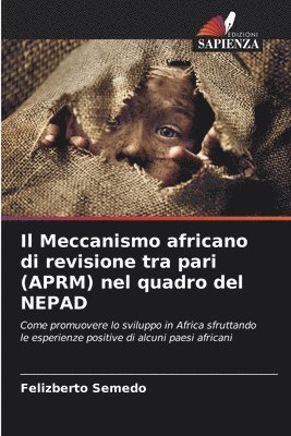 bokomslag Il Meccanismo africano di revisione tra pari (APRM) nel quadro del NEPAD