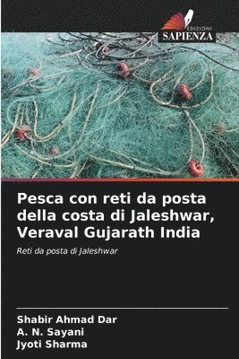 Pesca con reti da posta della costa di Jaleshwar, Veraval Gujarath India 1