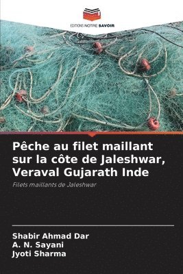 Pche au filet maillant sur la cte de Jaleshwar, Veraval Gujarath Inde 1