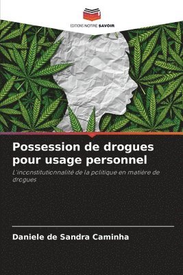 bokomslag Possession de drogues pour usage personnel